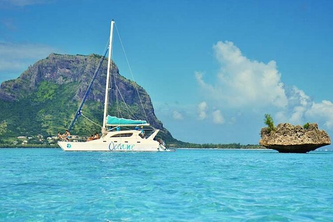 Full day Shared Speedboat Tour - South West Lagoon Dolphin Swim - Who will enjoy this day most