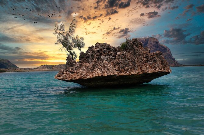 Full day Shared Speedboat Tour - South West Lagoon Dolphin Swim - Crystal Rock and the Le Morne lagoon