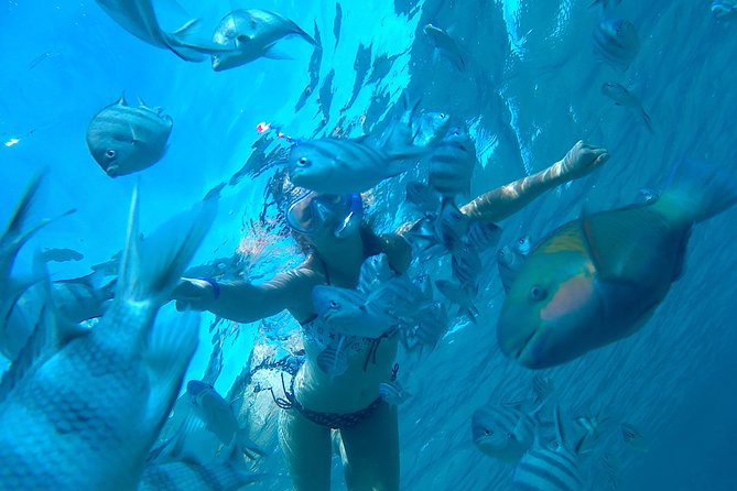 Full-Day Snorkeling with Dolphins in Hurghada with Lunch - Key points to know before you book