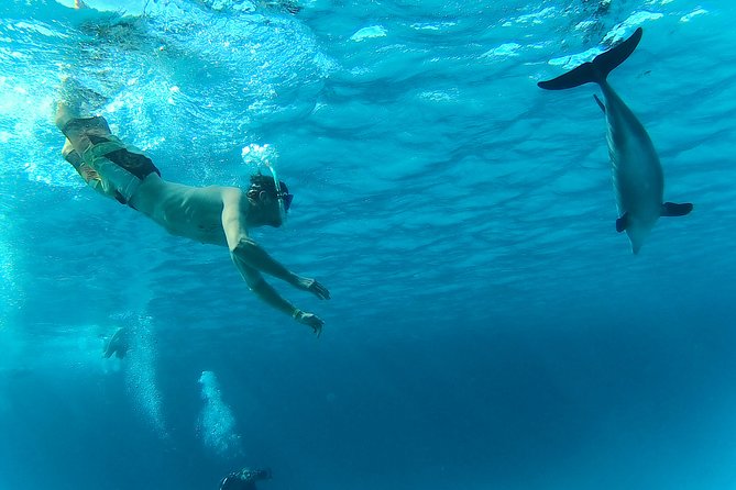 Full-Day Snorkeling with Dolphins in Hurghada with Lunch - Boat comfort, crew service, and the group atmosphere