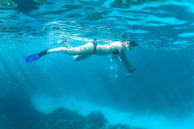 Full-Day Snorkeling with Dolphins in Hurghada with Lunch - The price is excellent, but check the fine print