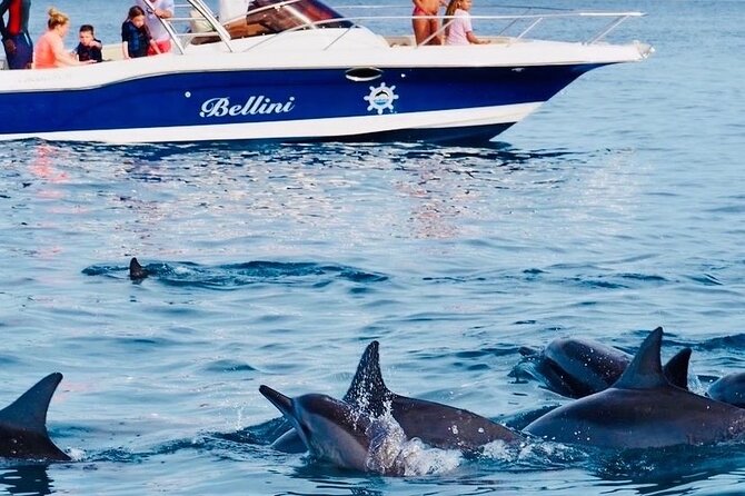 Fully Day Tour: Dolphin Encounters, Crystal Rock at Benitiers Island - Starting early on Mauritius’s southwest coast