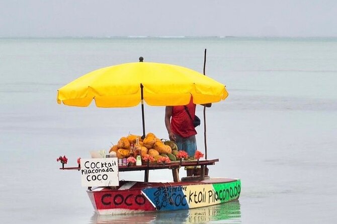 Fully Day Tour: Dolphin Encounters, Crystal Rock at Benitiers Island - Lunch on Benitier Islet