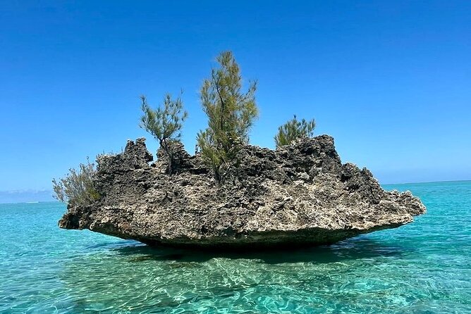 Fully Day Tour: Dolphin Encounters, Crystal Rock at Benitiers Island - What $107.24 buys you