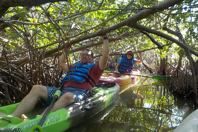 Fully Guided Kayaking Backwater Manatee and Dolphin Tour - A guide-led outing, not just a kayak rental