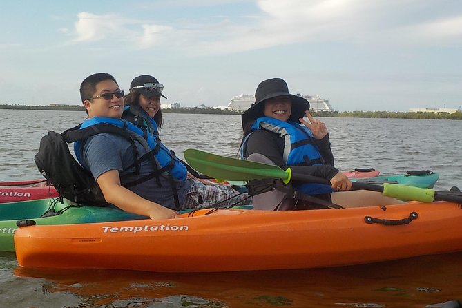 Fully Guided Kayaking Backwater Manatee and Dolphin Tour - How much value you get for $75