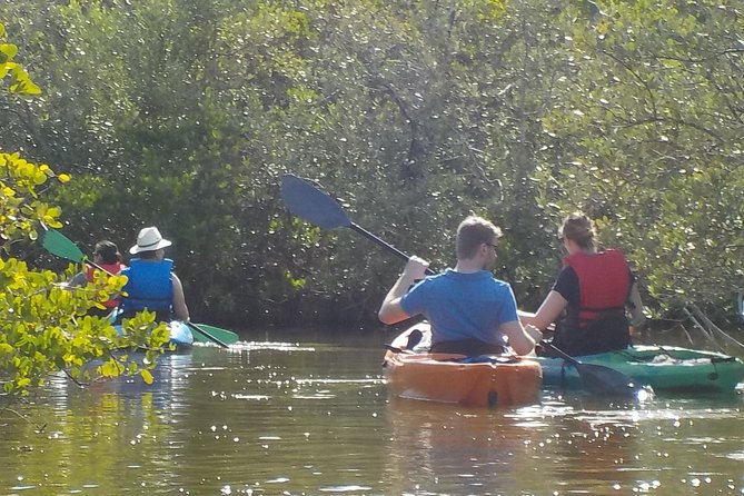 Fully Guided Kayaking Backwater Manatee and Dolphin Tour - Weather, clothing, and comfort