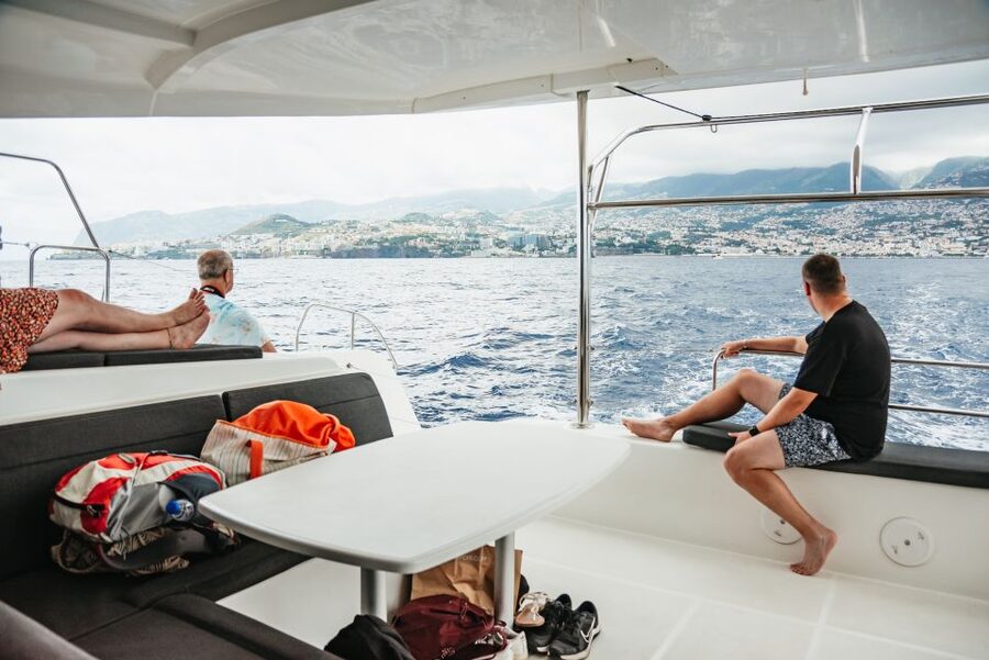 Funchal Bay: Dolphin & Whale Watch Luxury Catamaran Cruise - The wildlife stop: patience, luck, and realistic expectations