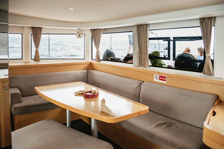 Funchal Bay: Dolphin & Whale Watch Luxury Catamaran Cruise - Practical advice for a better outing
