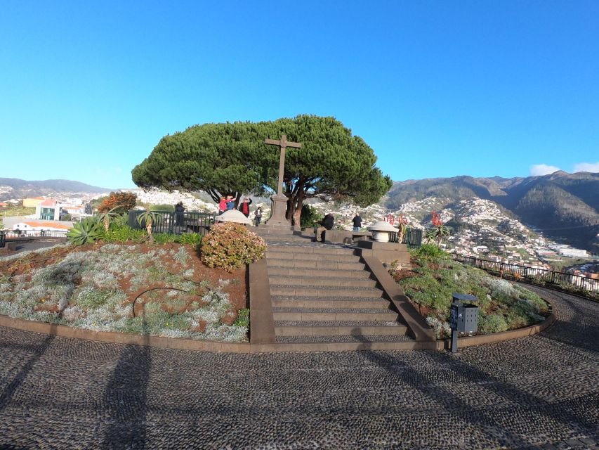 Funchal: Cabo Girão, Wines Tasting and Dolphins Watching - Key points to know before booking