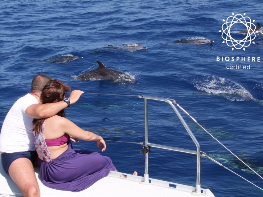 Funchal: Cabo Girão, Wines Tasting and Dolphins Watching - A local drink stop in Jardim da Serra
