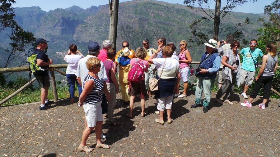 Funchal: Cabo Girão, Wines Tasting and Dolphins Watching - Swimming beneath Cabo Girão in summer
