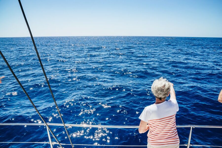 Funchal: Dolphin and Whale Watching by Luxury Catamaran - Key things to know before you book