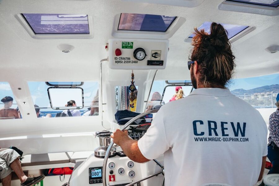 Funchal: Dolphin and Whale Watching by Luxury Catamaran - Why the small catamaran matters