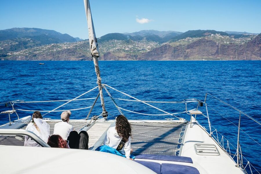 Funchal: Dolphin and Whale Watching by Luxury Catamaran - The crew and the marine-life lesson