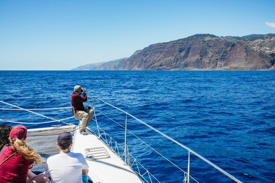 Funchal: Dolphin and Whale Watching by Luxury Catamaran - Who will enjoy this trip most