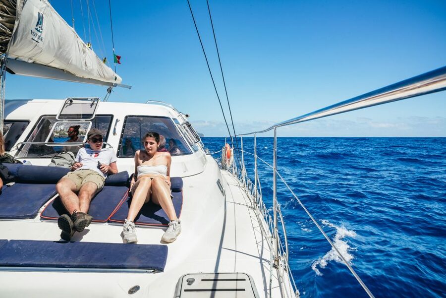 Funchal: Dolphin and Whale Watching by Luxury Catamaran - Is the Magic Dolphin catamaran worth booking?