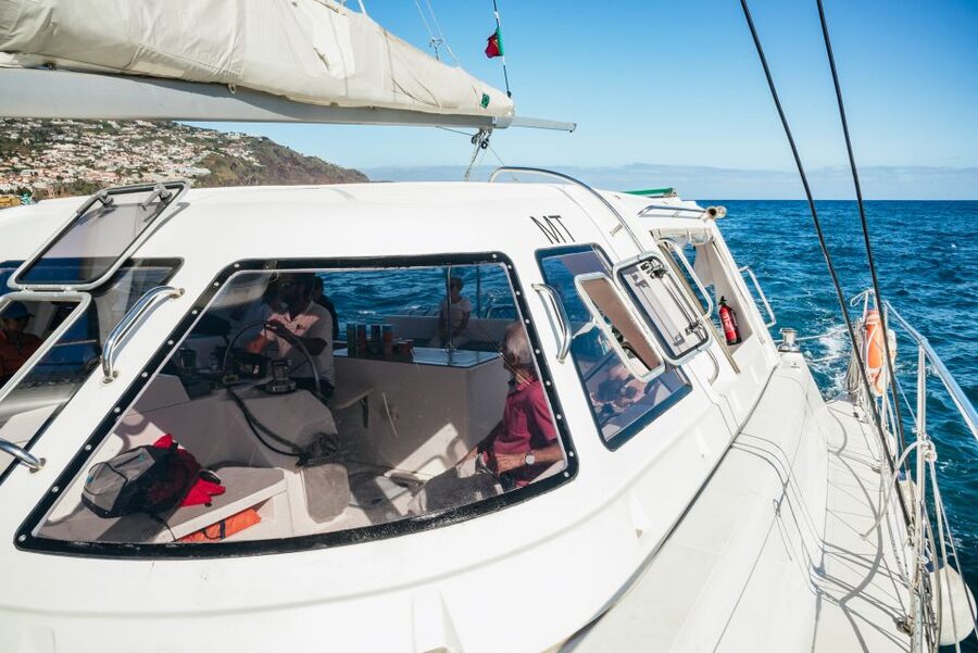 Funchal: Dolphin and Whale Watching by Luxury Catamaran - Watching dolphins and whales in Madeira’s waters