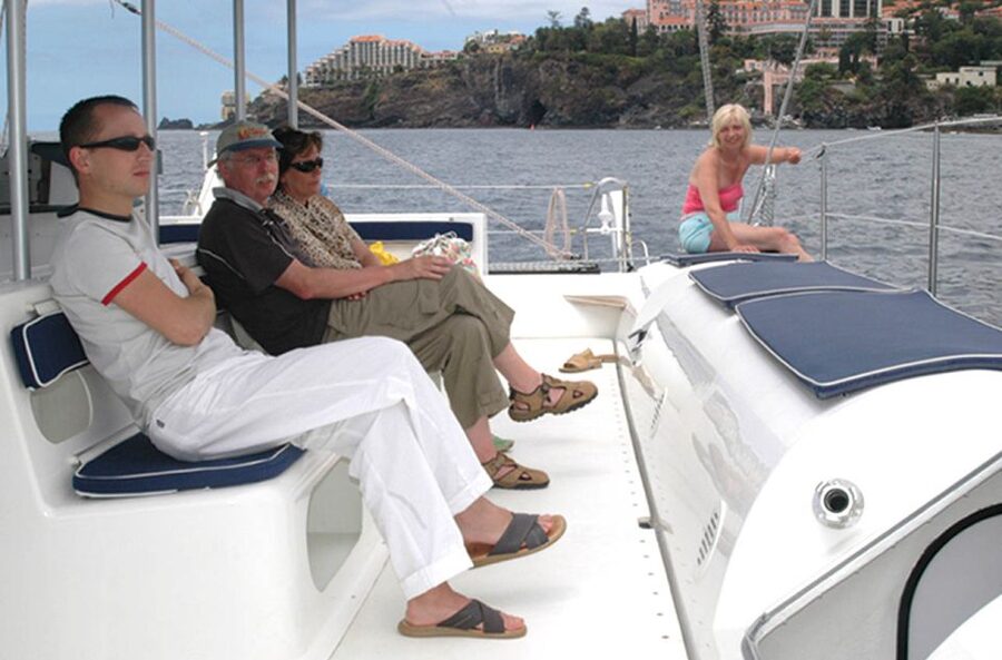 Funchal: Dolphin and Whale Watching Catamaran Cruise - Leaving from Funchal Marina