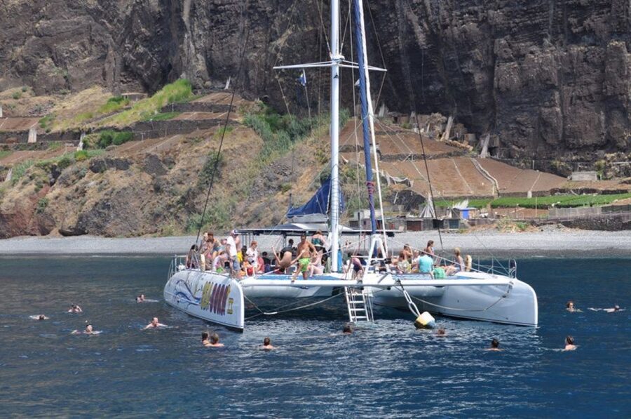 Funchal: Dolphin and Whale Watching Catamaran Cruise - The catamaran layout and onboard comfort