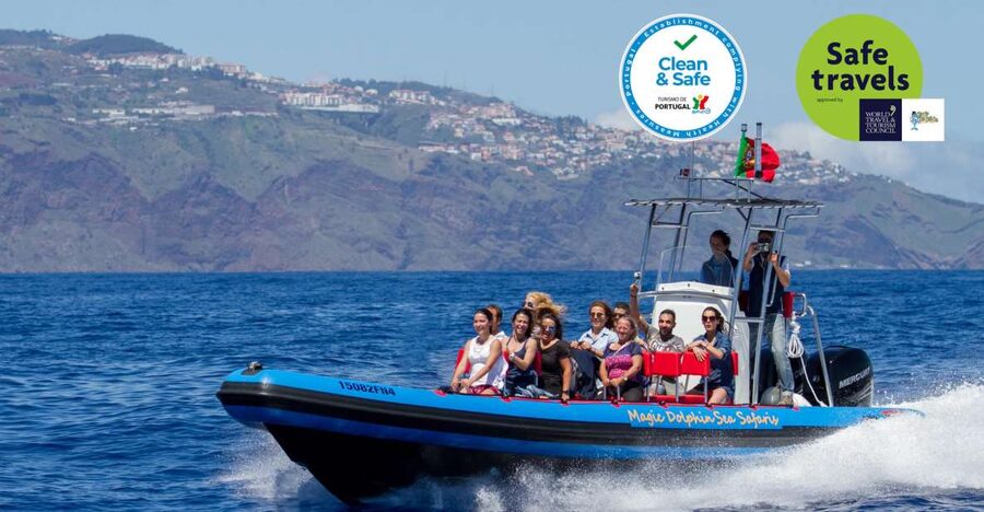 Funchal: Dolphin and Whale Watching Cruise - Why this Funchal wildlife trip is different