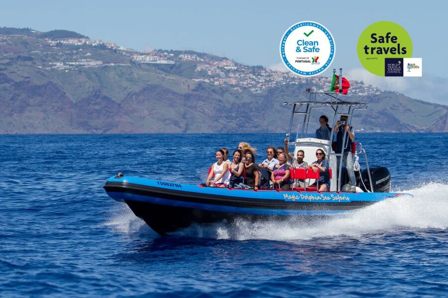 Funchal: Dolphin and Whale Watching Cruise - How the wildlife search works