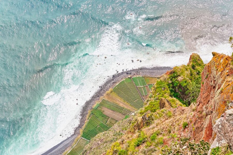 Funchal: Dolphin and Whale Watching Sailing Trip - A three-hour escape from Funchal Marina