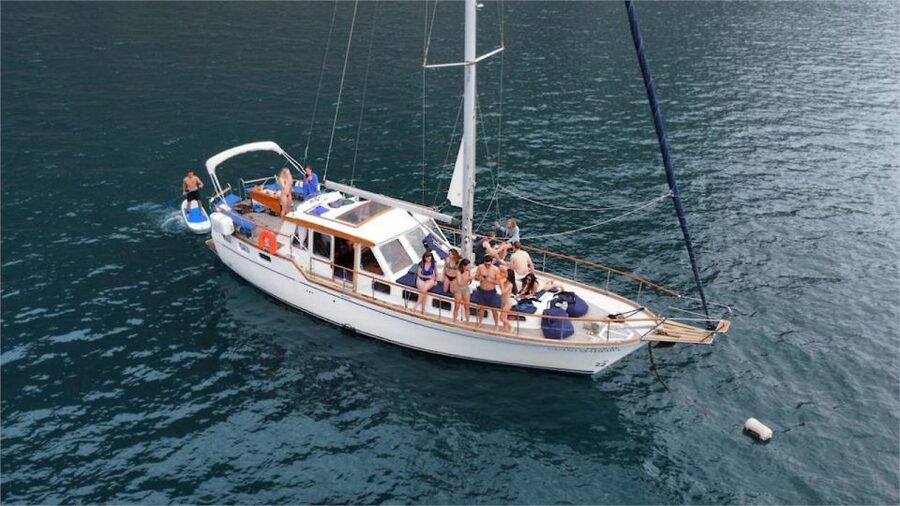 Funchal: Dolphin and Whale Watching Sailing Trip - Cabo Girão from the water