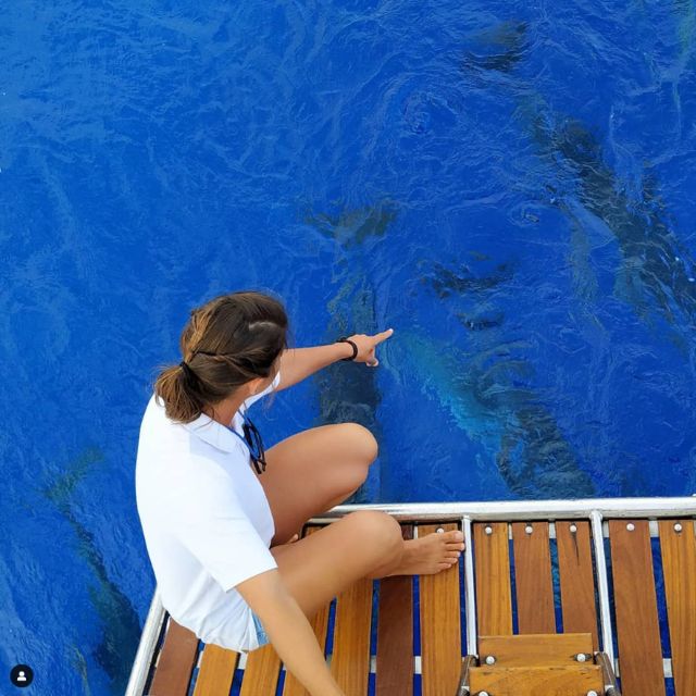 Funchal: Dolphin and Whale Watching Sailing Trip - Searching the Atlantic for dolphins and whales