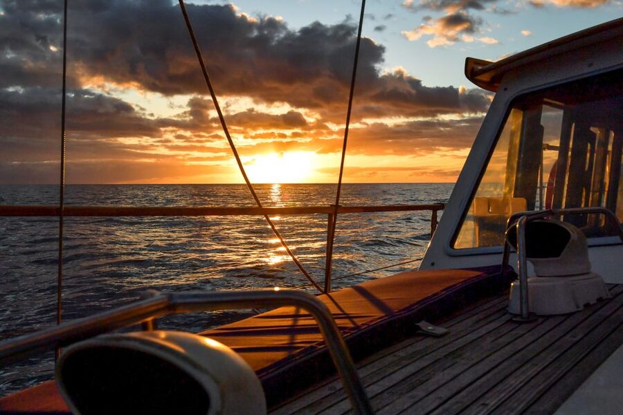 Funchal: Dolphin and Whale Watching Sunset Sailing Tour - Cabo Girão and the swim beneath the cliffs