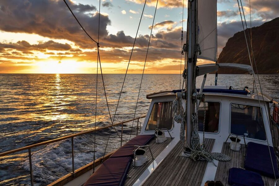 Funchal: Dolphin and Whale Watching Sunset Sailing Tour - What the $63 price really covers