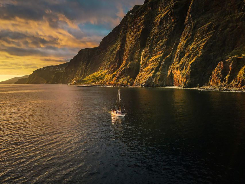 Funchal: Dolphin and Whale Watching Sunset Sailing Tour - Who will enjoy this Funchal sailing trip most