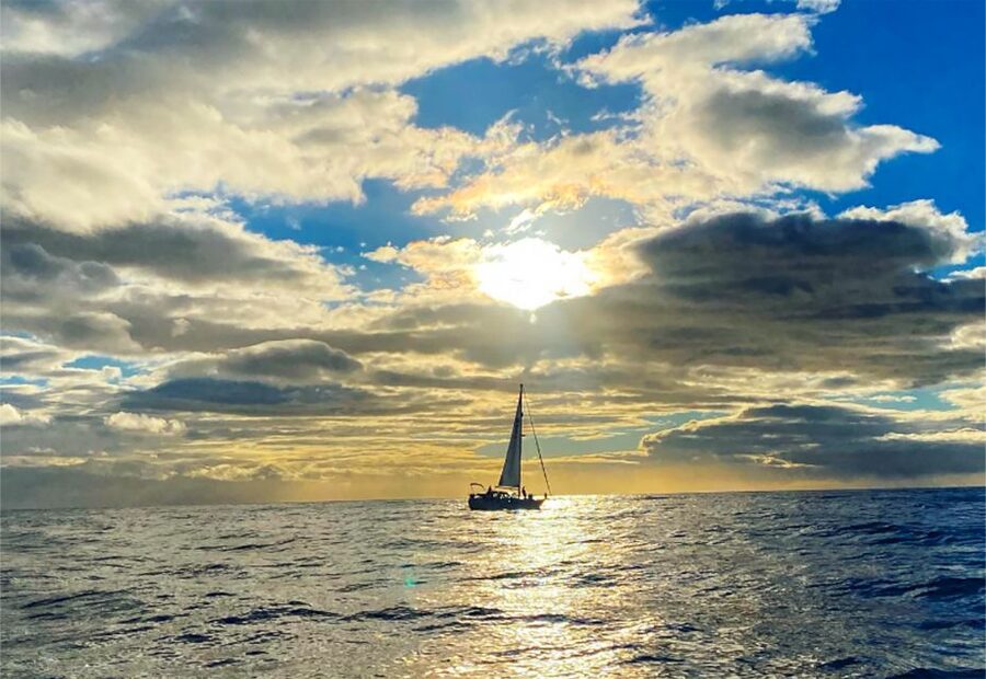 Funchal: Dolphin and Whale Watching Sunset Sailing Tour - Practical tips for a better three-hour cruise