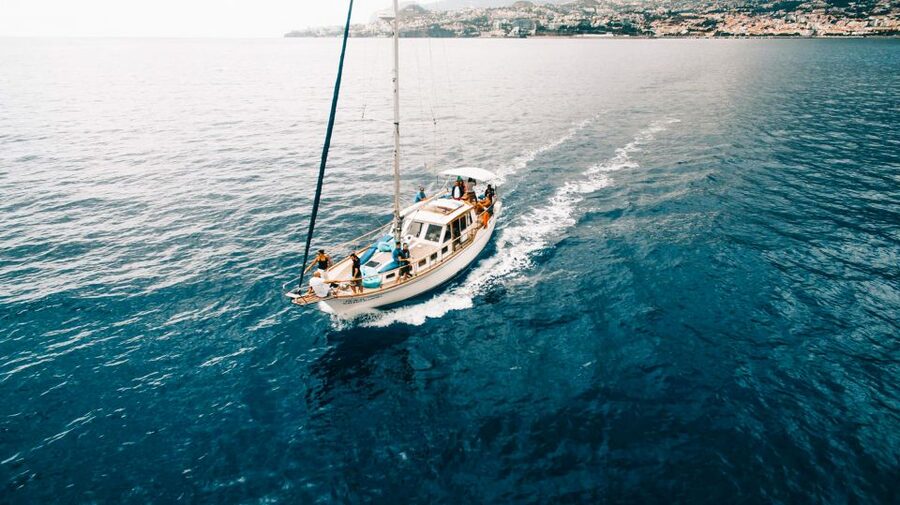 Funchal: Dolphin and Whale Watching Sunset Sailing Tour - Should you book this sunset sailing tour?