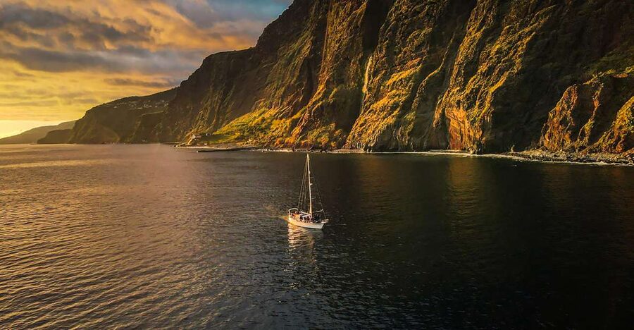 Funchal: Dolphin and Whale Watching Sunset Sailing Tour - Searching for dolphins and whales up to three miles offshore