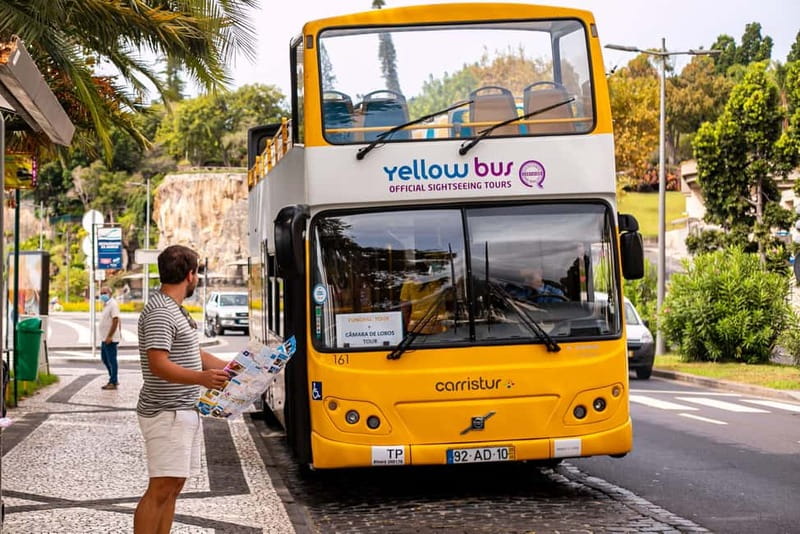 Funchal:Hop-on Hop-off Bus & Whale & Dolphin boat Excursion - Why seeing Madeira by land and sea works