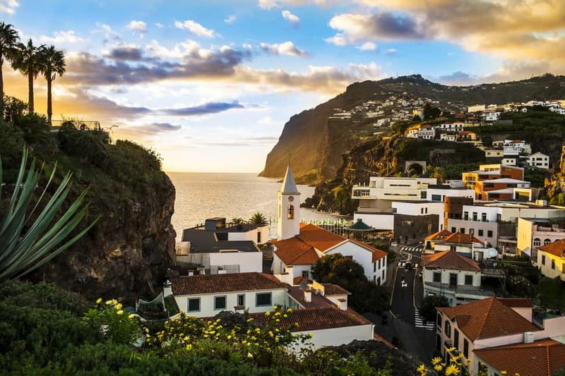 Funchal:Hop-on Hop-off Bus & Whale & Dolphin boat Excursion - Who gets the most from this package