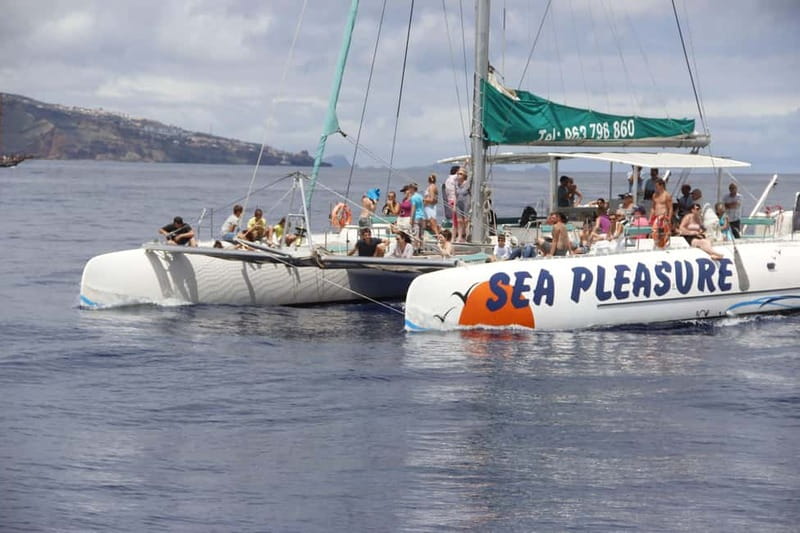 Funchal:Hop-on Hop-off Bus & Whale & Dolphin boat Excursion - Gardens, viewpoints, and the upper deck