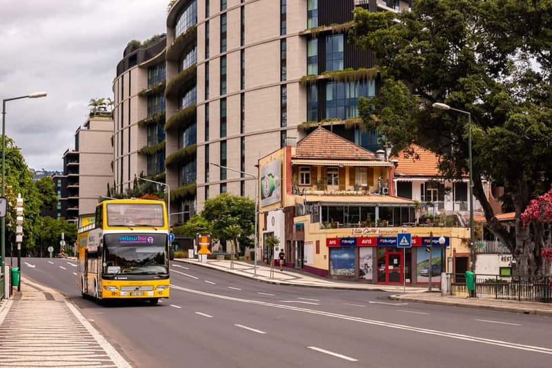 Funchal:Hop-on Hop-off Bus & Whale & Dolphin boat Excursion - Swimming at Fajã do Cabo Girão