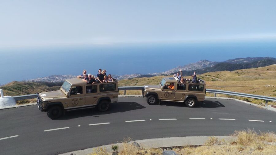 Funchal: Pico Arieiro, Cristo Rei and Dolphins Watching - Santa Cruz and the steep farming terraces