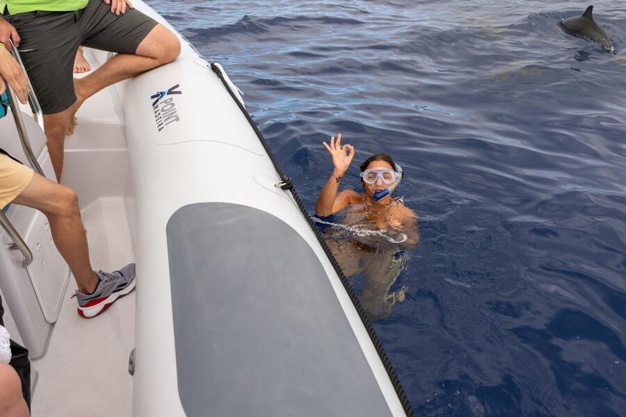 Funchal: RIB Whale Watching Cruise and Optional Dolphin Swim - A fast start from Funchal harbor