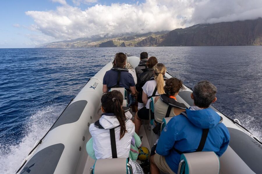 Funchal: RIB Whale Watching Cruise and Optional Dolphin Swim - Clothing, comfort, and practical preparation