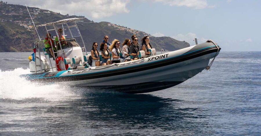Funchal: RIB Whale Watching Cruise and Optional Dolphin Swim - Searching Madeira’s Atlantic waters for whales