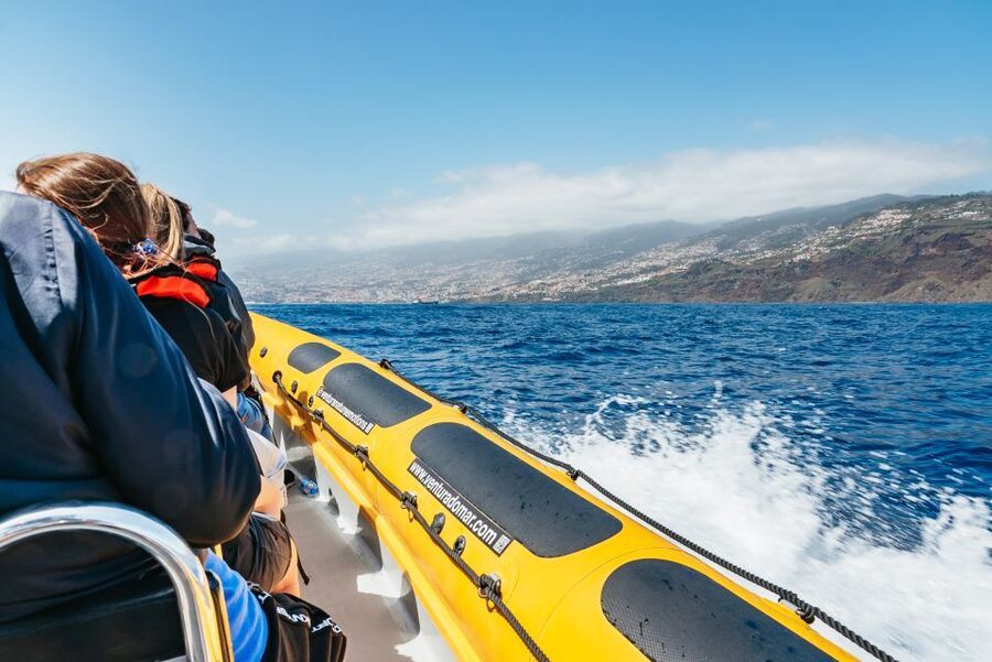 Funchal: Whale and Dolphin Watching Speed Boat Tour - Who Will Enjoy This Trip Most?