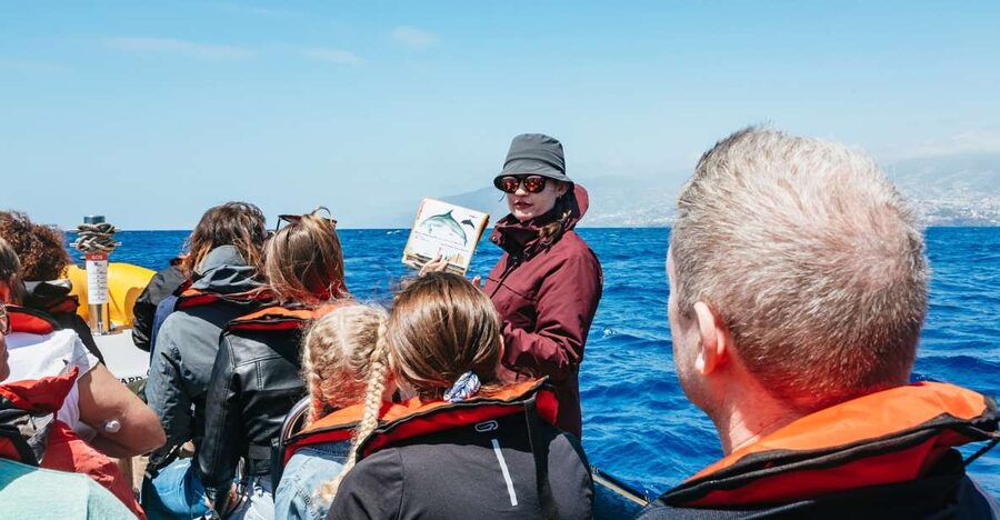 Funchal: Whale and Dolphin Watching Speed Boat Tour - The Speed Boat Ride and What It Feels Like