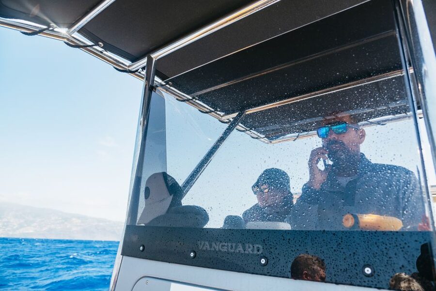 Funchal: Whale and Dolphin Watching Speed Boat Tour - Watching Dolphins and Whales in Open Water