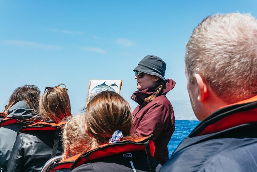 Funchal: Whale and Dolphin Watching Speed Boat Tour - Madeira’s Coast From the Water