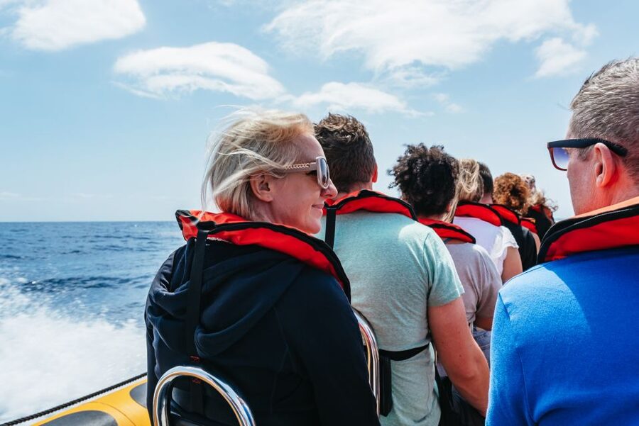 Funchal: Whale and Dolphin Watching Speed Boat Tour - Timing, Weather, and Practical Planning
