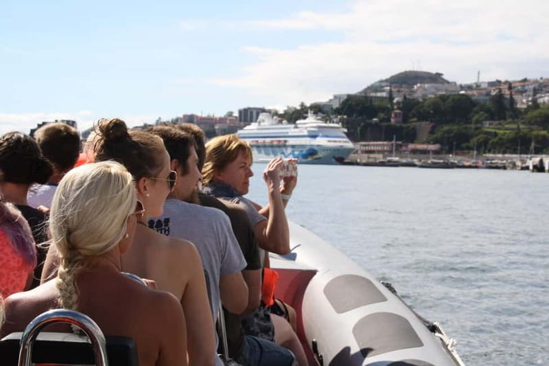 Funchal: Whale Watching and Swimming with Dolphins Cruise - Setting out from Funchal for open-water wildlife