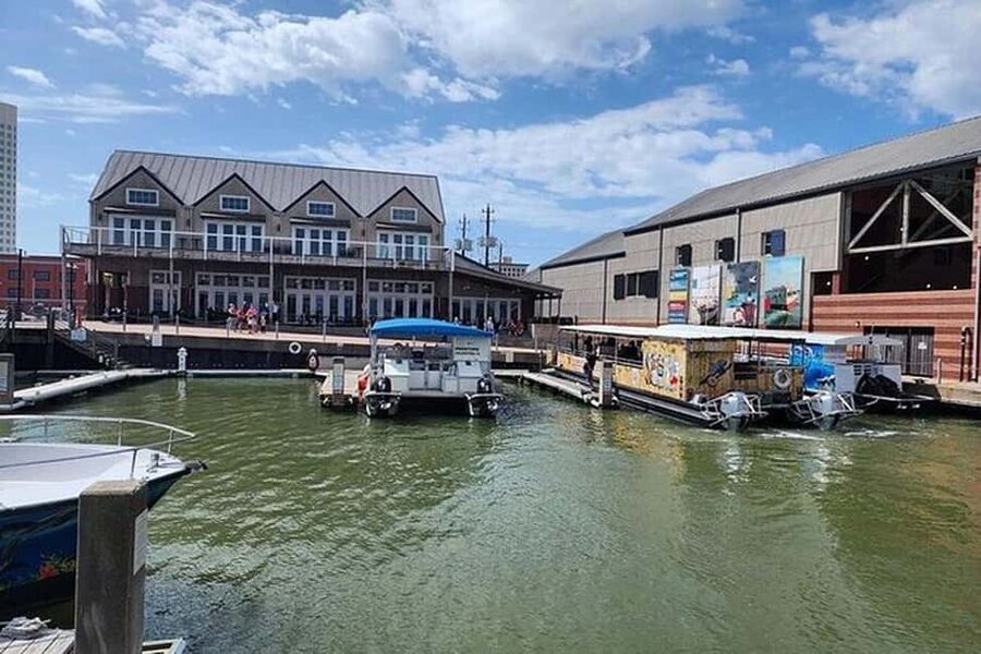 Galveston: Dolphin Watching Boat Tour in Galveston Bay - Key points at a glance
